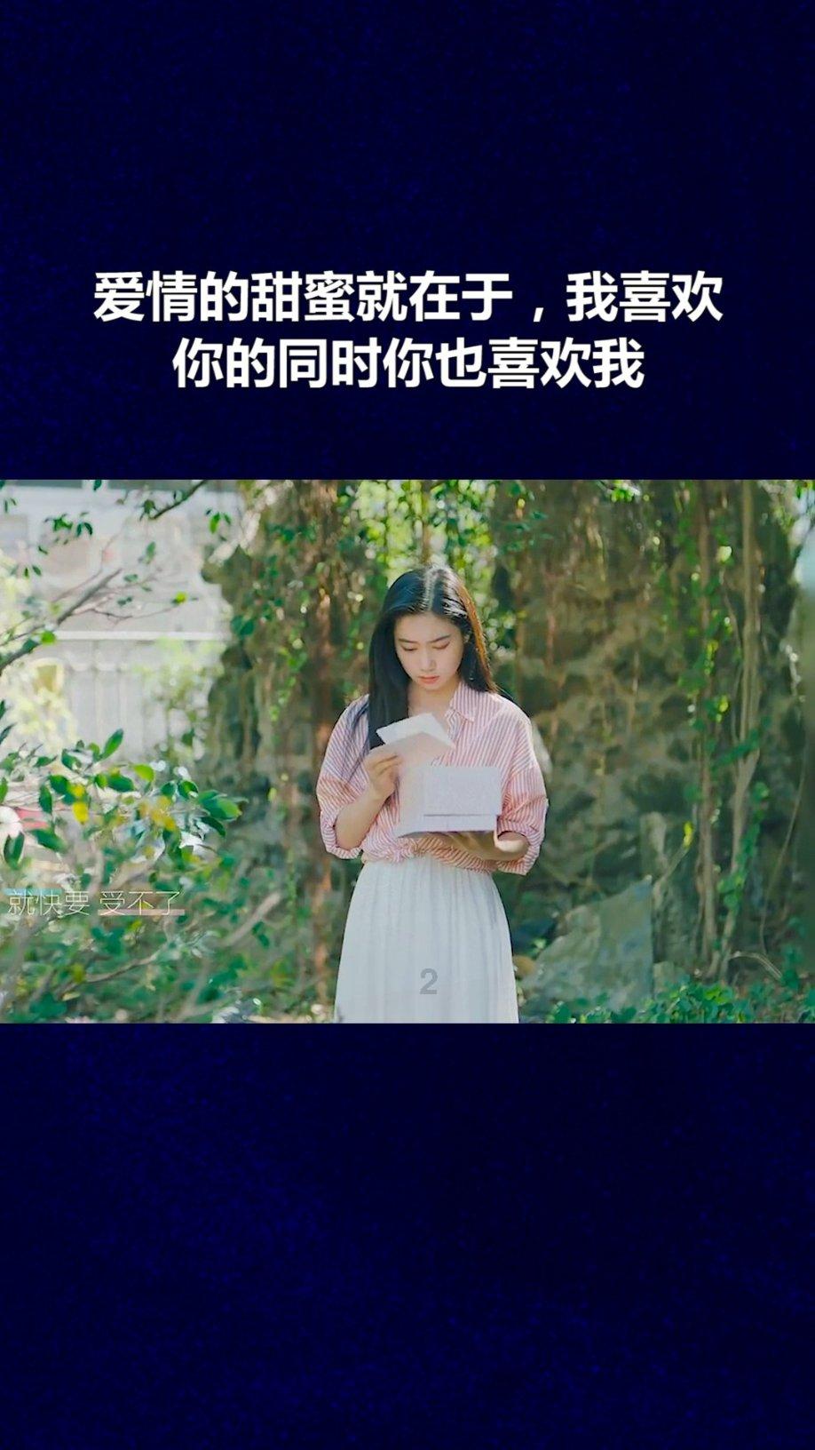 蓝狐视频